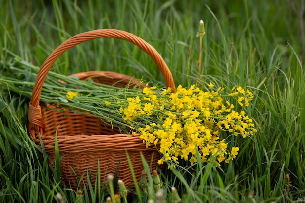 Bouquet de fleurs jaune dans un panier Espace de copie