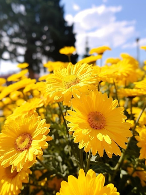 Photo un bouquet de fleurs jaunes avec le mot dessus