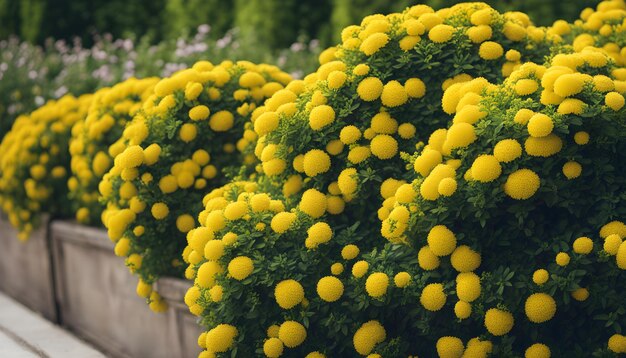 Photo un bouquet de fleurs jaunes sont dans un grand récipient