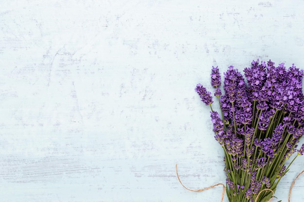 Bouquet de fleurs de lavande lié isolé sur fond blanc.