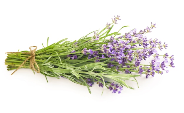 Bouquet de fleurs de lavande sur une surface blanche.