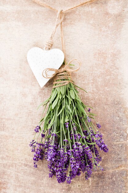 Bouquet de fleurs de lavande