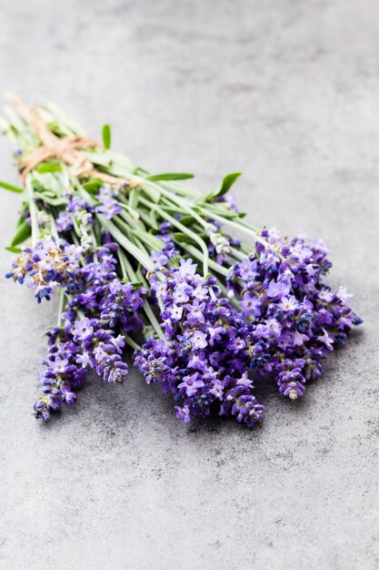 Bouquet de fleurs de lavande