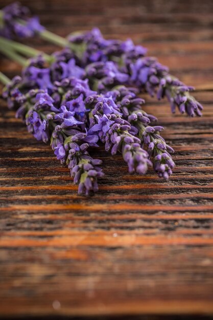 Bouquet de fleurs de lavande