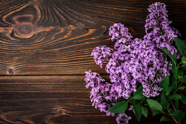 Bouquet de fleurs lilas printanières