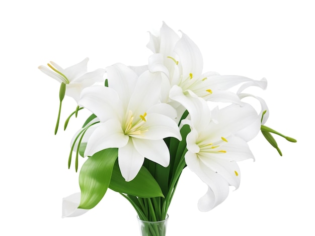 Bouquet de fleurs de Lys blanc isolé sur fond transparent