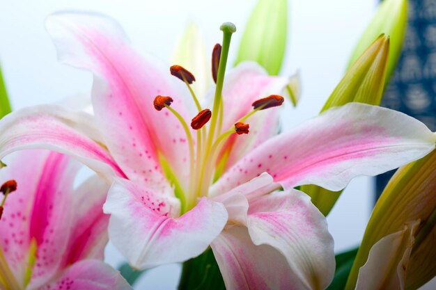 bouquet de fleurs de lys roses