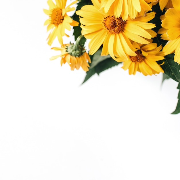 Photo bouquet de fleurs de marguerite jaune isolé sur blanc