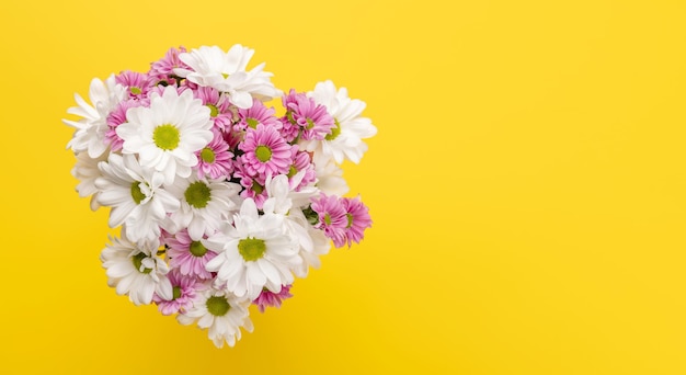 Bouquet de fleurs de marguerites colorées