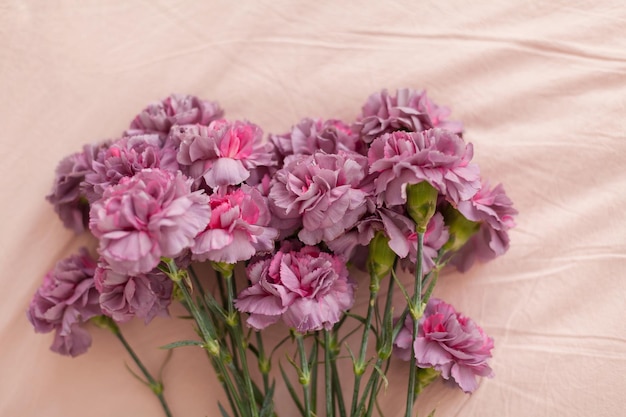 Bouquet de fleurs moelleuses dianthus violet sur le fond de lin rose