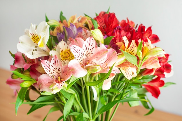 Un bouquet de fleurs multicolores sur un mur gris