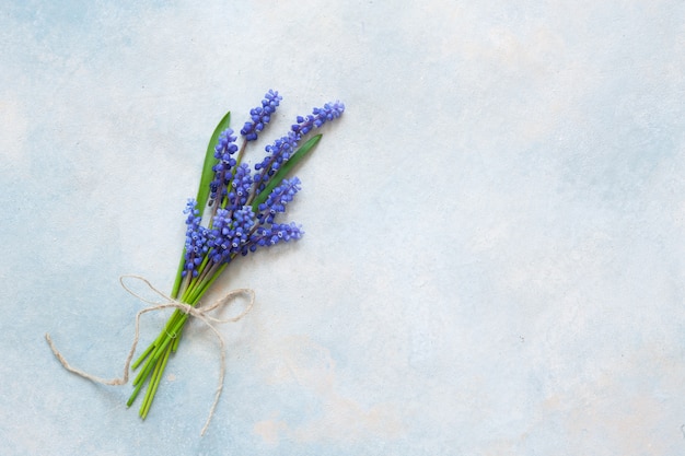 Bouquet de fleurs de Muskari sur le fond bleu ciel