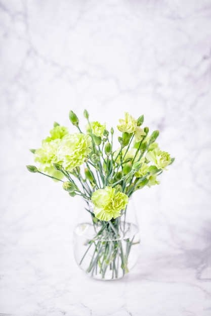 Bouquet de fleurs d'oeillet vert clair