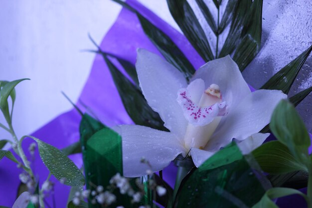 Bouquet de fleurs d'orchidée. Beau bouquet d'orchidées. Fleur d'orchidée blanche