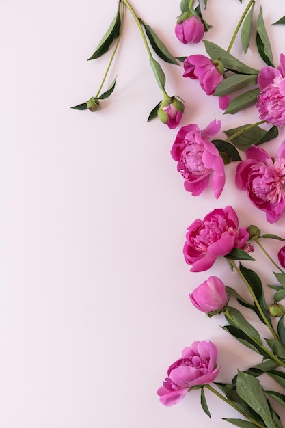 Bouquet de fleurs de pivoine rose sur fond rose élégant pastel neutre Vue de dessus mise à plat composition florale minimale