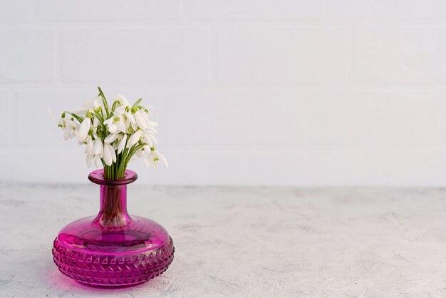 Bouquet de fleurs printanières de perce-neige dans un vase en verre de couleur fuchsia