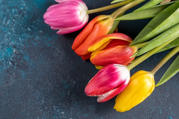 Bouquet de fleurs de printemps. Belles tulipes sur fond bleu rustique de couleur vive. Vue de dessus, espace copie.