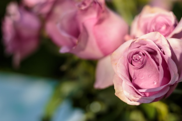 bouquet de fleurs rose tendre.