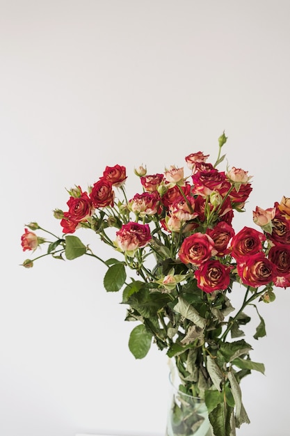 Bouquet de fleurs roses rouges sur blanc