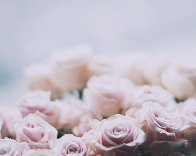 Bouquet de fleurs roses vacances de mariage et concept de style jardin floral