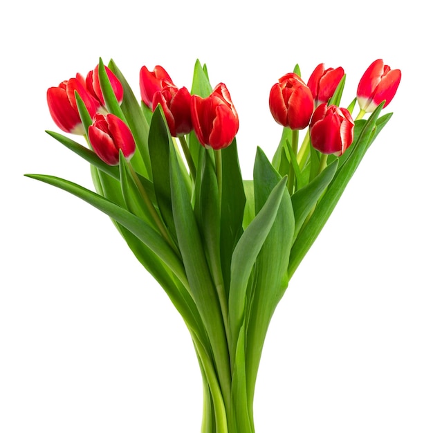 Photo un bouquet de fleurs rouges avec des feuilles vertes sur elles