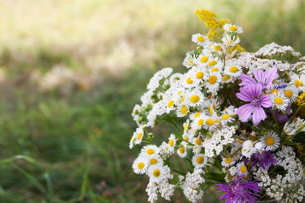 Bouquet de fleurs sauvages sur un champ