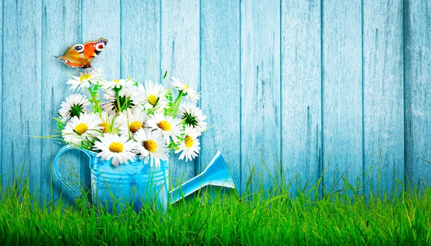 Bouquet de fleurs sauvages colorées dans un arrosoir avec des papillons.