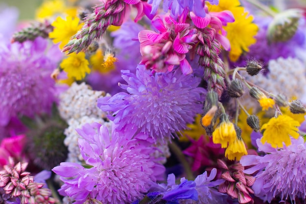 Bouquet de fleurs sauvages colorées