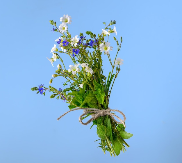 Bouquet de fleurs sauvages avec corde sur fond bleu