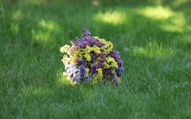 bouquet de fleurs sauvages sur l'herbe