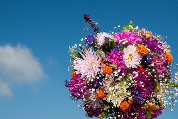 Bouquet de fleurs sauvages