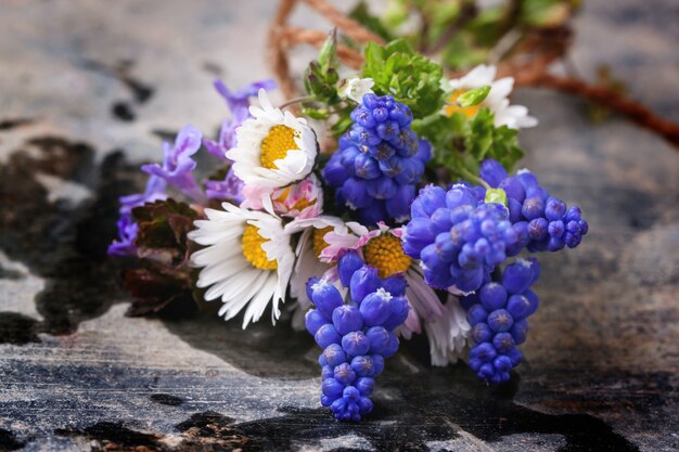 Bouquet de fleurs sauvages