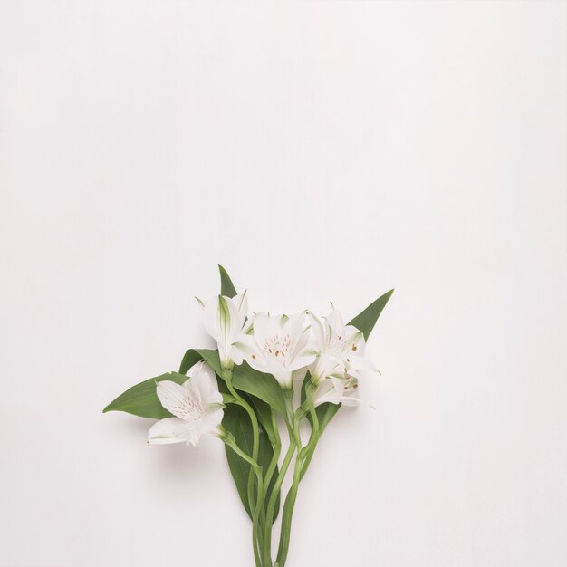 Bouquet de fleurs sur les tiges avec des feuilles vertes