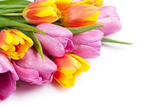 Bouquet de fleurs de tulipes colorées fraîches