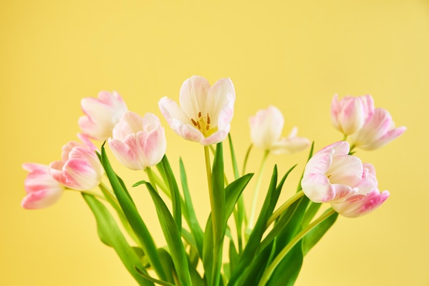 Bouquet de fleurs de tulipes sur fond jaune bonjour printemps femme et concept de fête des mères