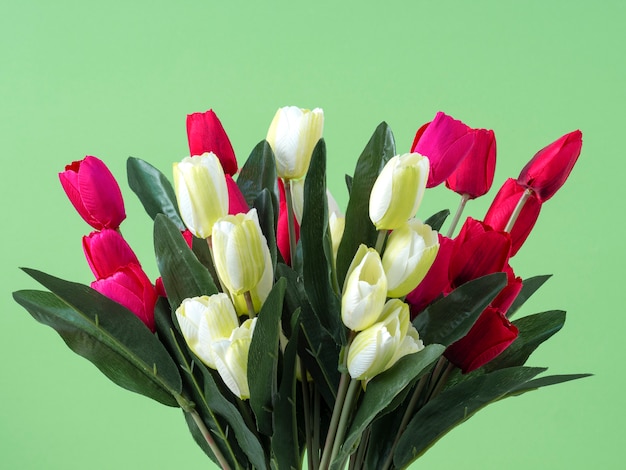 Bouquet de fleurs de tulipes sur fond vert