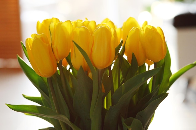 Bouquet de fleurs de tulipes jaunes