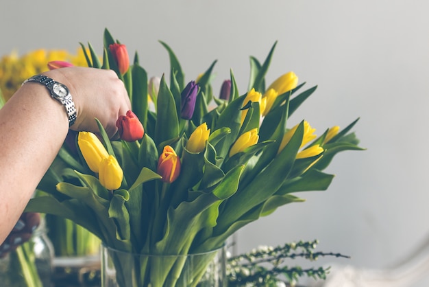 Bouquet de fleurs de tulipes multicolores dans un vase en verre