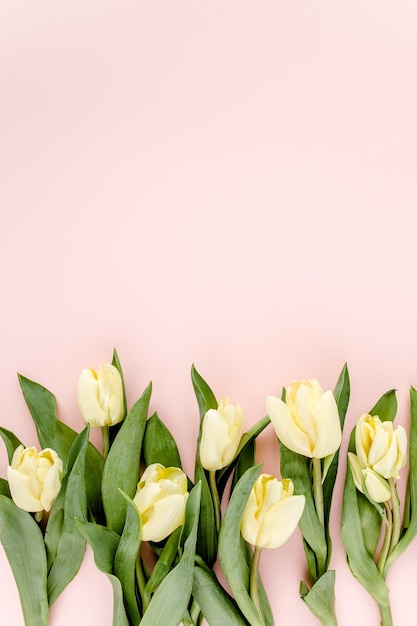 Bouquet de fleurs de tulipes pastel et jaunes sur un fond rose Vue supérieure à plat Valentines fond motif floral