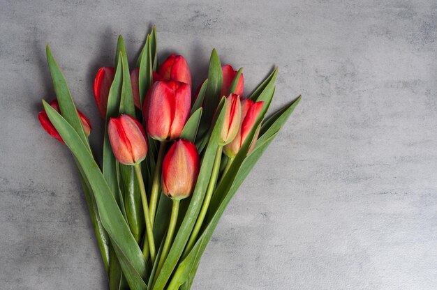 Bouquet de fleurs de tulipes rouges fraîches