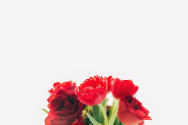 Bouquet de fleurs de tulipes rouges isolé sur blanc