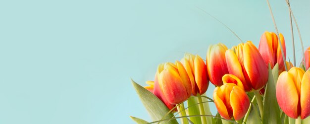 Bouquet de fleurs de tulipes rouges et jaunes