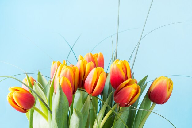 Bouquet de fleurs de tulipes rouges et jaunes