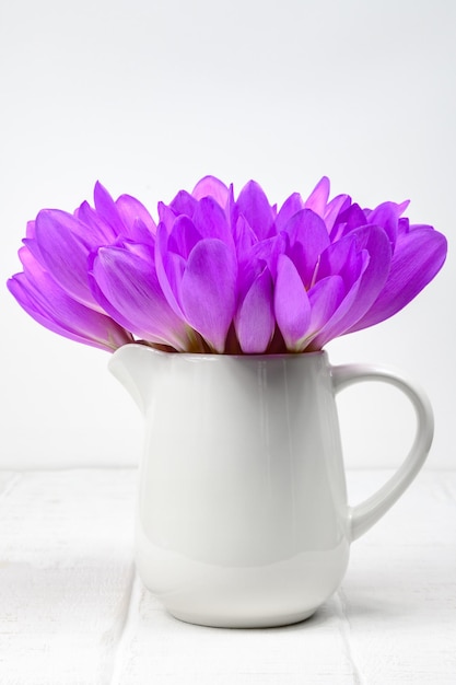 Bouquet de fleurs violettes colchicum autumnale dans un vase sur fond blanc