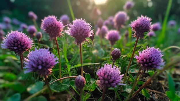 Un bouquet de fleurs violettes qui sont dans l'IA générative d'herbe