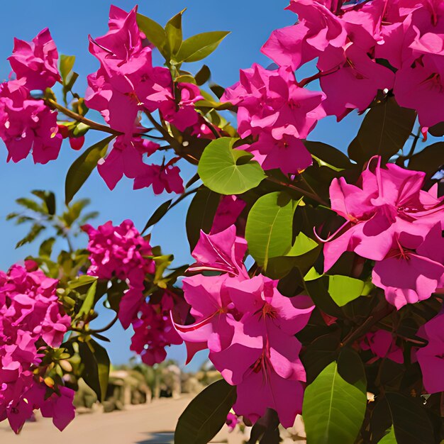 Photo un bouquet de fleurs violettes qui sont à l'extérieur