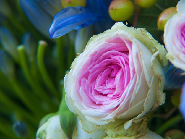 Bouquet floral