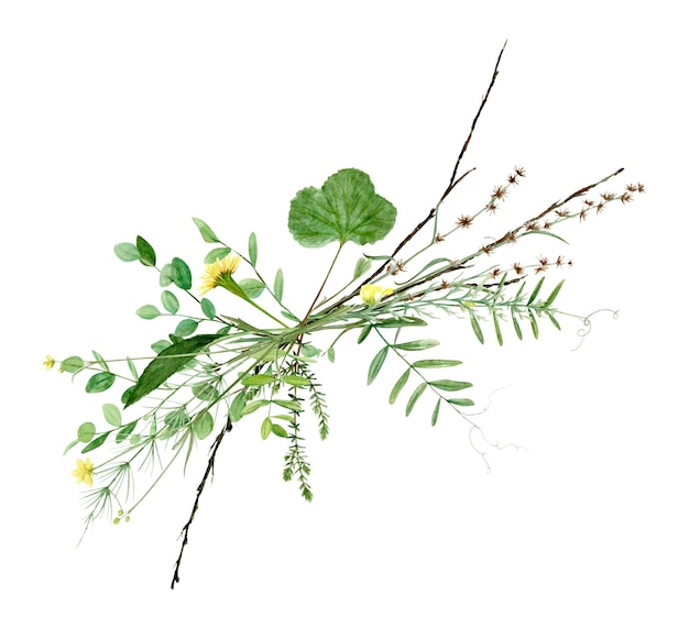 Bouquet de forêt aquarelle dessin à la main de fleurs sauvages, de feuilles et de branches. illustration isolée sur blanc. Parfait pour l'invitation de mariage d'été et le logo.