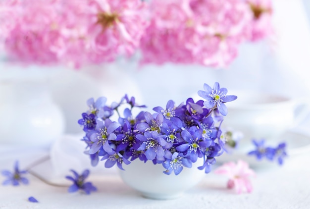 Bouquet frais de délicates fleurs printanières de l'hépatique Hepatica Nobilis dans un vase blanc