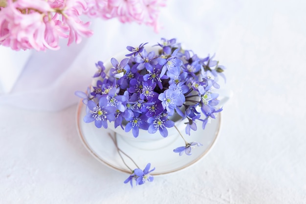 Bouquet frais de délicates fleurs printanières de l'hépatique Hepatica Nobilis dans un vase blanc